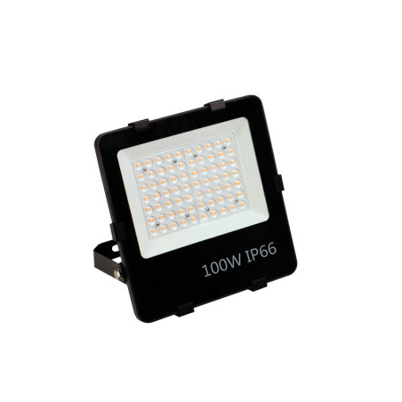 Projecteur TSG PRO 100W